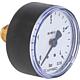 Bourdon tube pressure gauge ø 50 mm, DN 8 (1/4") axial Standard 2