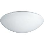 LED Ceiling lights