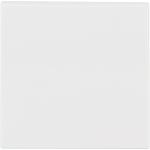 Bascule Berker 16208989, S.1 blanc polaire, brillant, 1 pc