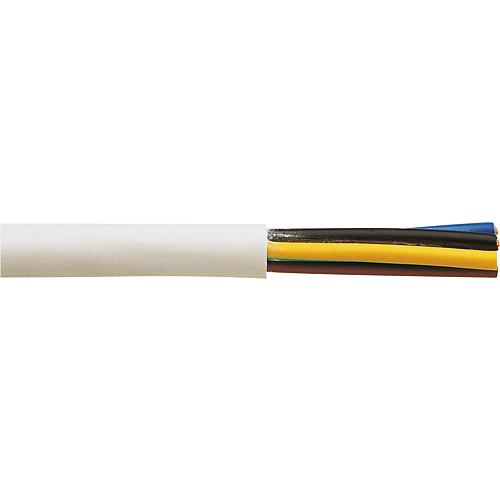 Plastic conduit cable - type H05VV-F Standard 1