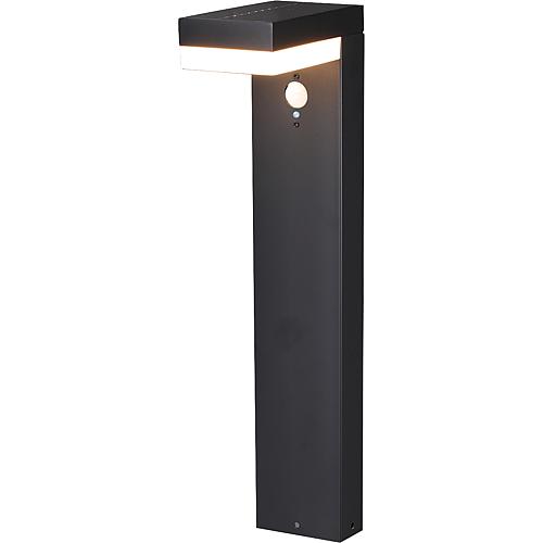 Solar LED stand light 561 Standard 1