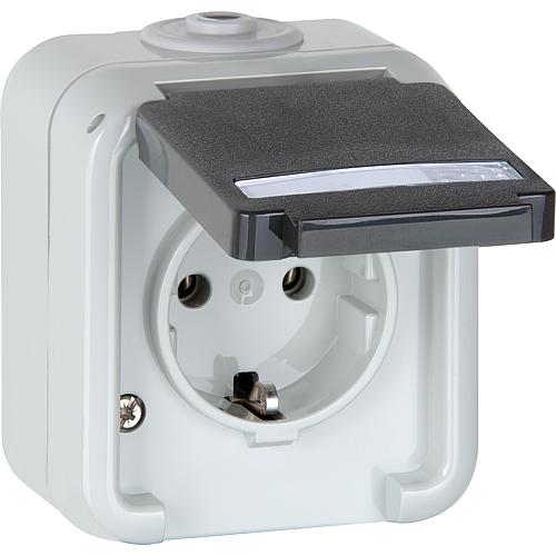 1-way socket with label Standard 1