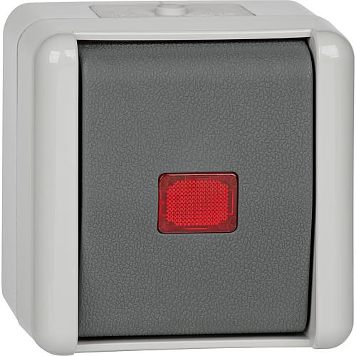 Surface-mounted control switch Standard 1