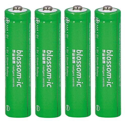 Batterie Lithium AA 1,5 V blossom-ic Standard 2