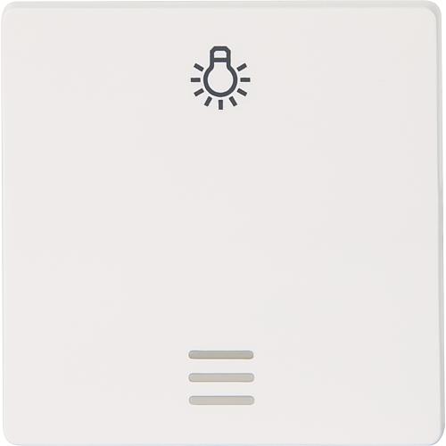 Interrupteur a bascule avec symbole lumiere et fenetre, blanc titan / 55x55mm, type de protection IP20 /1pc