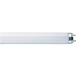 Fluorescent lamps