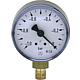 Bourdon tube vacuum gauge ø 50 mm, DN 6 (1/8“) radial Standard 1