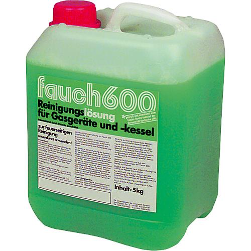 Cleaning solution Fauch 600 Standard 1