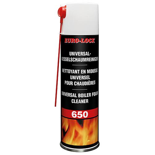 Universal boiler foam cleaner LOS 650 Standard 1