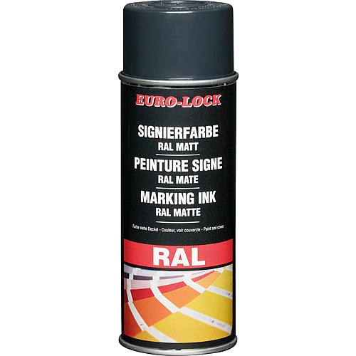 RAL colour spray Anwendung 2