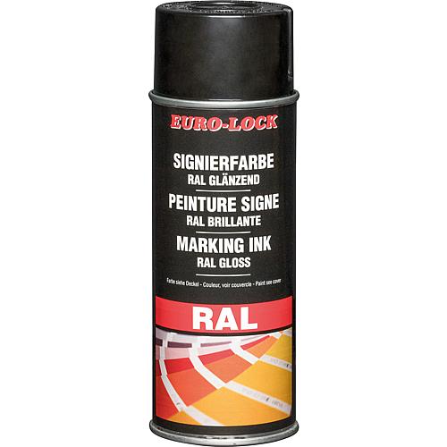 Farbspray RAL