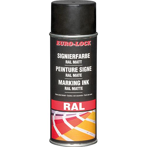 RAL colour spray Anwendung 6