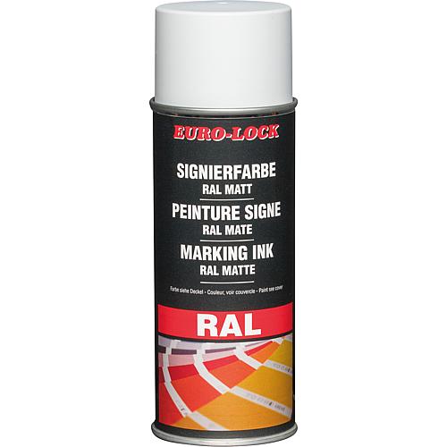 RAL colour spray Anwendung 11