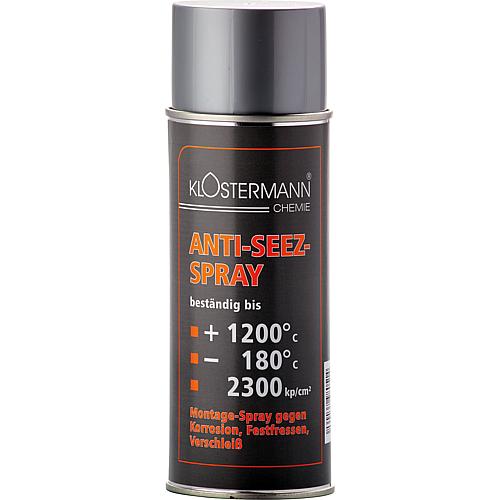 Anti-Seez-Spray Standard 1