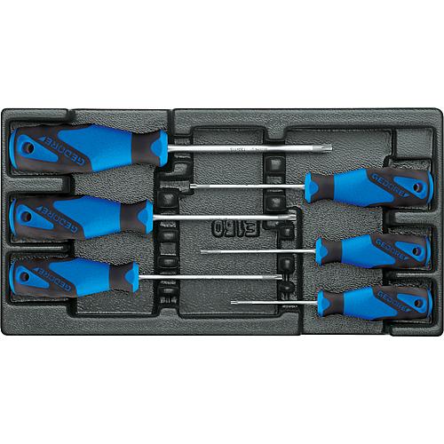 Screwdriver set, in 1/3 module, 6-piece Standard 1