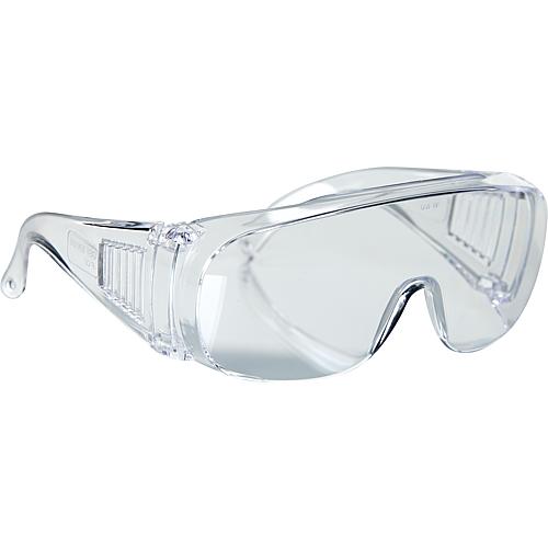 Panorama safety goggles Standard 1