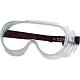 Full view safety goggles 8510