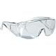 Panorama safety goggles Standard 1