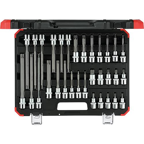 Schraubendrehereinsätze 1/2" Torx®, 32-teilig Anwendung 1