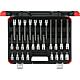 Set of Screwdriver inserts GEDORE red 26-piece, 1/2" internal multi-tooth