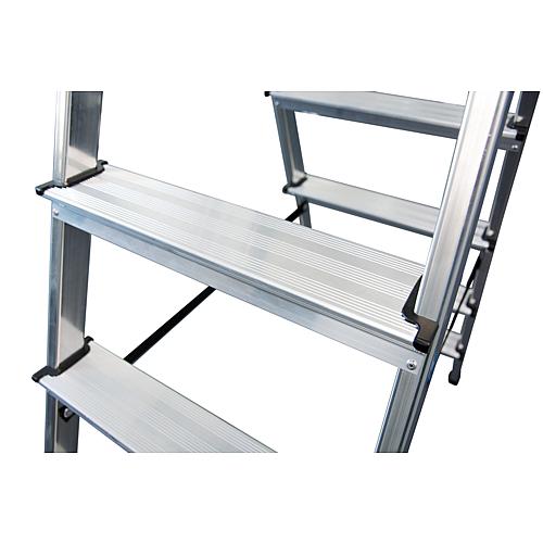 Monto double step ladder