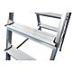 Monto double step ladder