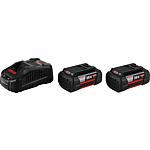 Kit de batteries 36 V, 2 x 6,0 Ah batteries et chargeur