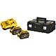 Battery set 54/18 V, 2 x 12.0 Ah Li-Ion batteries + 1 x charger with carry case Standard 1