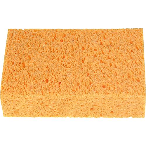 All-purpose sponge Standard 1