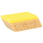 Combi sponge, 2-layer