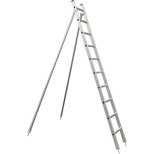 Fruit tree rung support ladder one-piece Standard 1