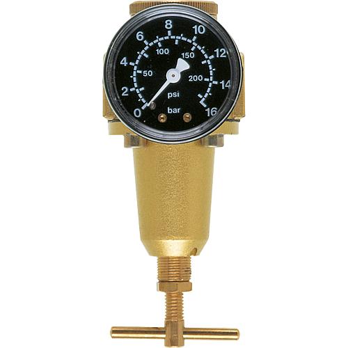 Compressed Air Pressure Regulator standard Standard 1