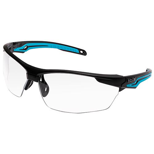 Safety goggles TRYON Standard 1