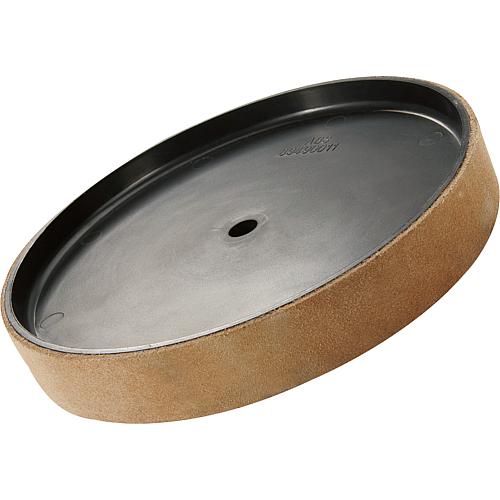 Leather removal disc HOLZKRAFT for NTS 200 Standard 1