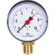 Bourdon tube pressure gauge DN 15 (1/2") radial Standard 1