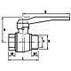 Kugelhahn, IG x AG, mit Hebelgriff Standard 2