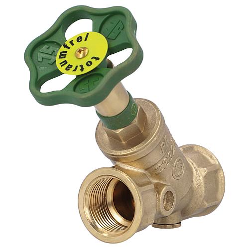 Combined free-flow valve with backflow preventer with no drain