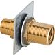 Rallonge mur creux 3/4" x 1/2" x 65 mm laiton