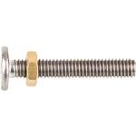 Setting screw stainless steel M6