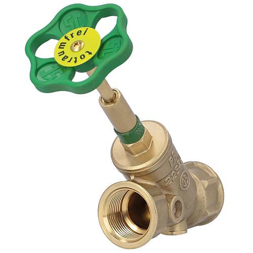 Combined free-flow valve with backflow preventer with no drain Anwendung 2