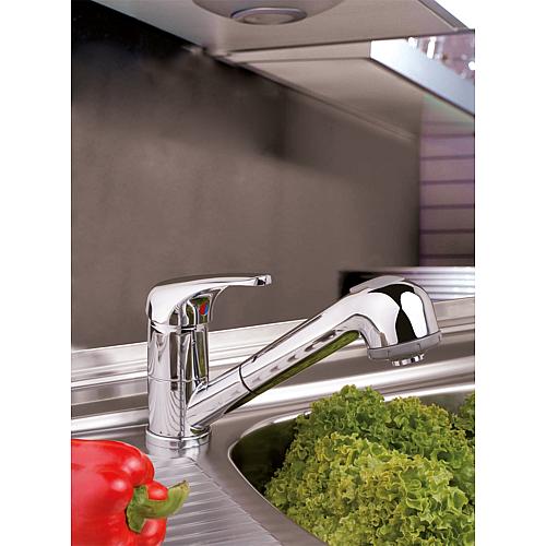 Top II washbasin mixer with closed lever and pull-out dish rinser Anwendung 1