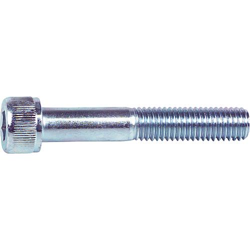 Cylinder screws hexagonal socket, thread ø 10 mm