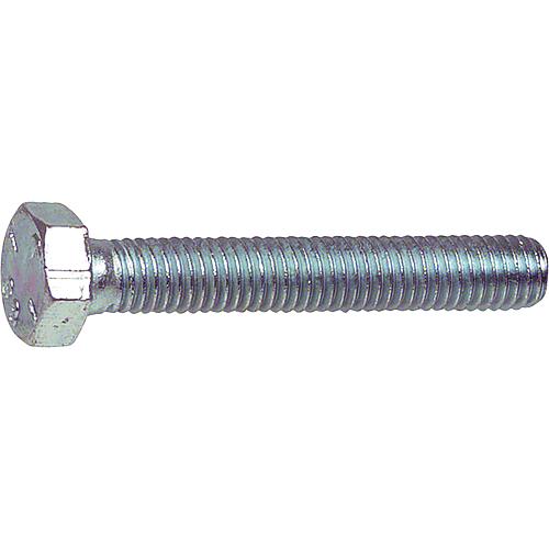 Hex bolts, M12, galvanised, 8.8, DIN 933 / ISO 4017
 Standard 1