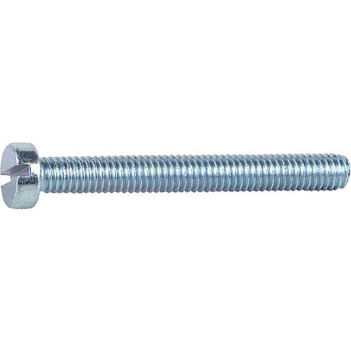 Slotted cylinder screws, small pack, thread ø 6 mm Standard 1