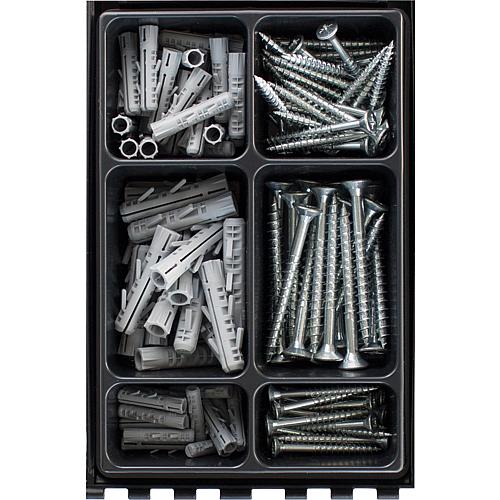 Assortment box of Barracuda expansion plugs including screws, 136-piece
