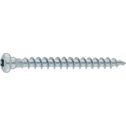 Beam shoe screw 5.0x25 full thread T20, Wirox PU 500 pieces
