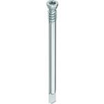 Rod dowel