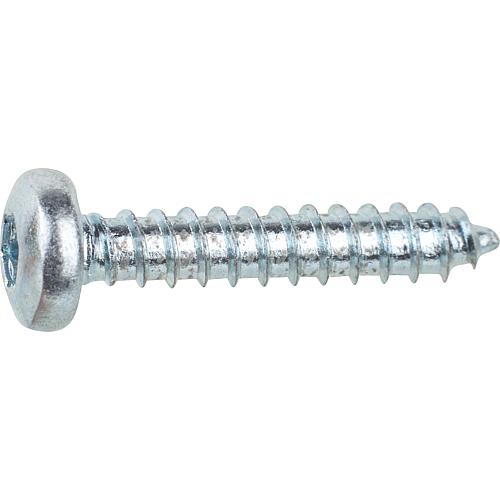 Pan head self-tapping screw with I-star