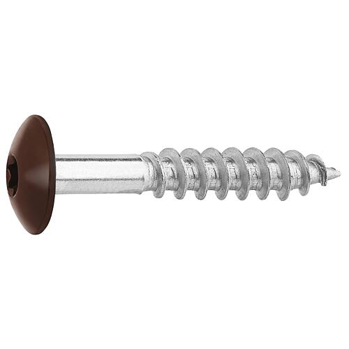 Facade screws for HPL panels A4, 5.5 x 35, RAL 8014 Sepia brown, PU: 100