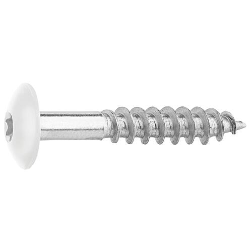 Facade screws for HPL panels A4, 5.5 x 35, RAL 9010 Pure white, PU: 100